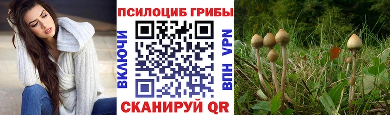 Галлюциногенные грибы мухоморы  Дербент 